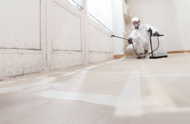 24/7 Emergency Mold Remediation experts in Rowlett, TX